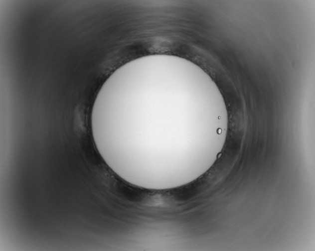 X0000089850755200707191902