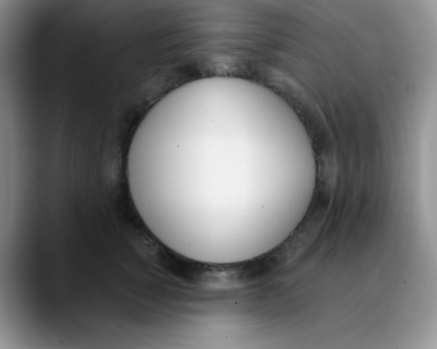 X0000089850760200707191902