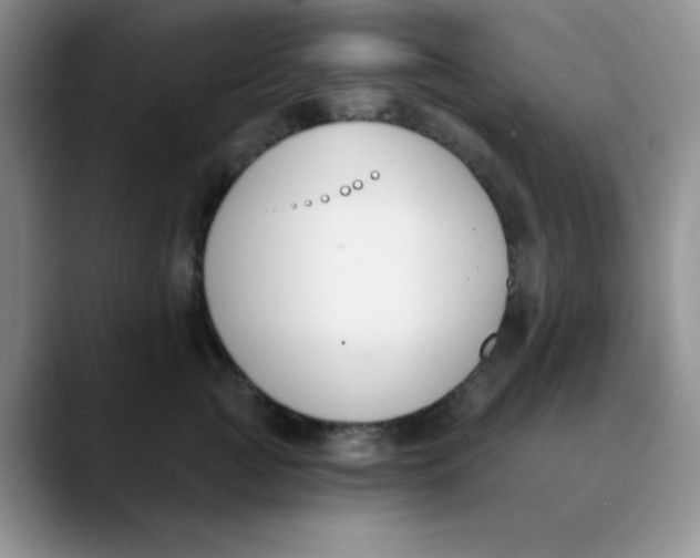 X0000089850761200707191902