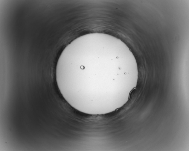 X0000089850762200707191902