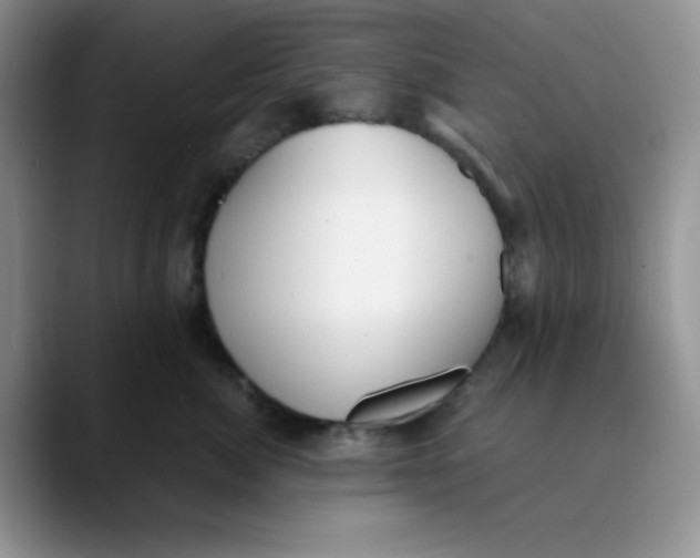 X0000089850764200707191902