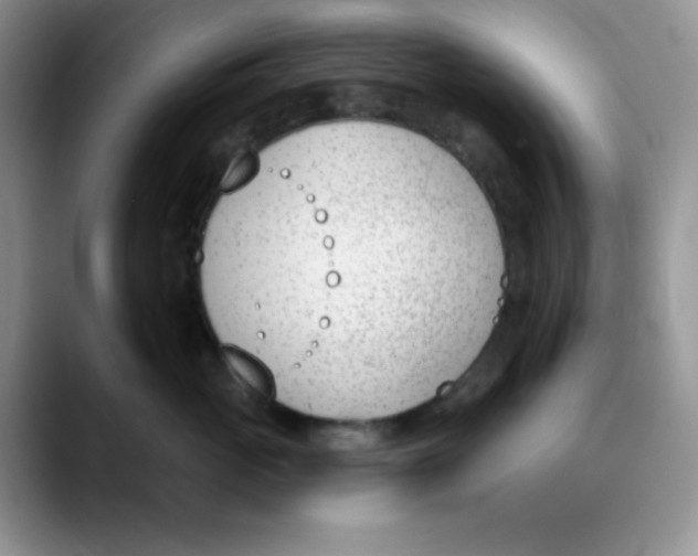 X0000089850765200707191902