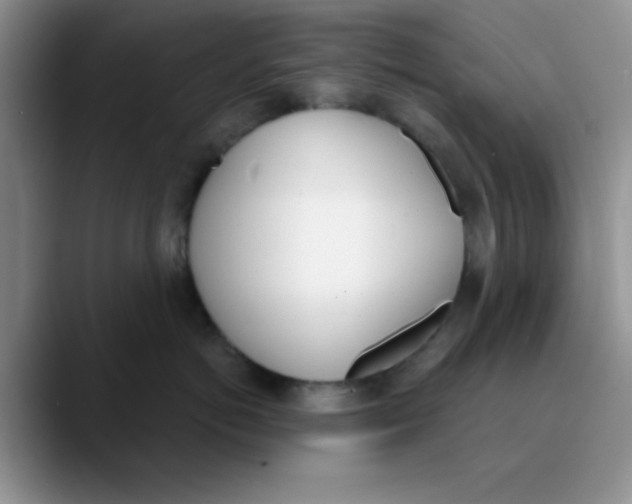 X0000089850766200707191902