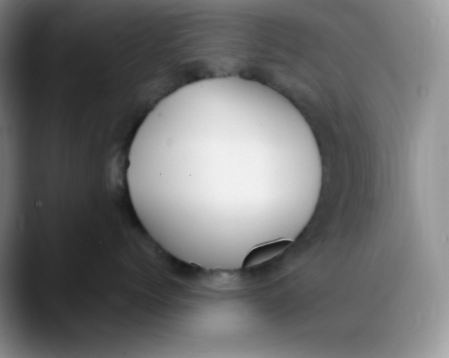 X0000089850768200707191902