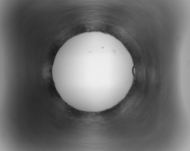 X0000089850770200707191901