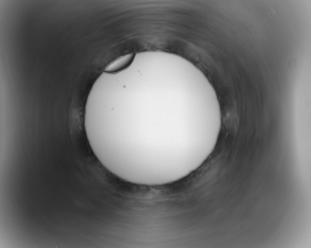 X0000089850772200707191901