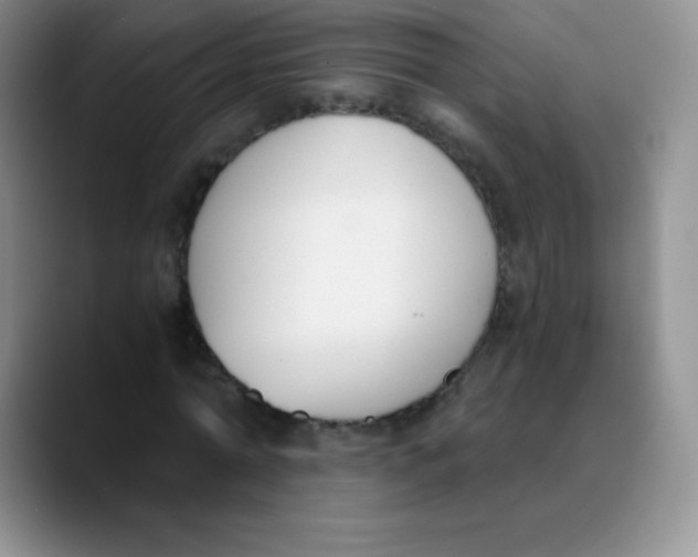 X0000089850774200707191901