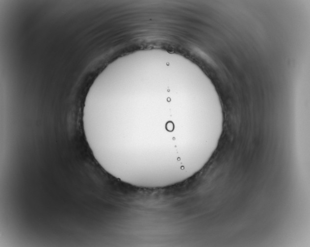 X0000089850775200707191901