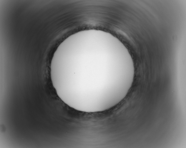 X0000089850776200707191901