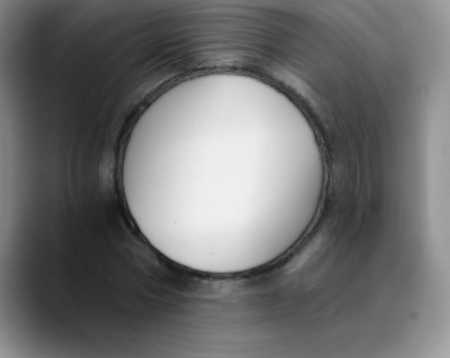 X0000089850778200707191901