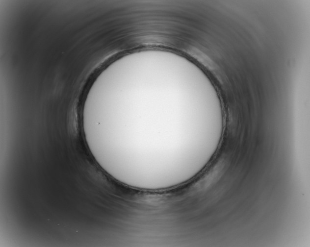 X0000089850782200707191901