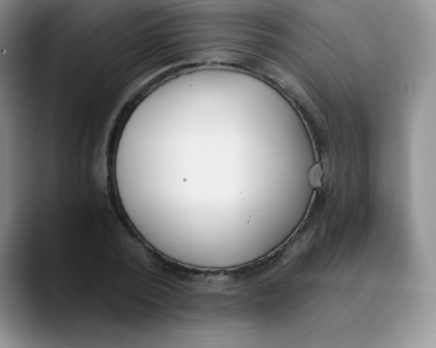 X0000089850784200707191901