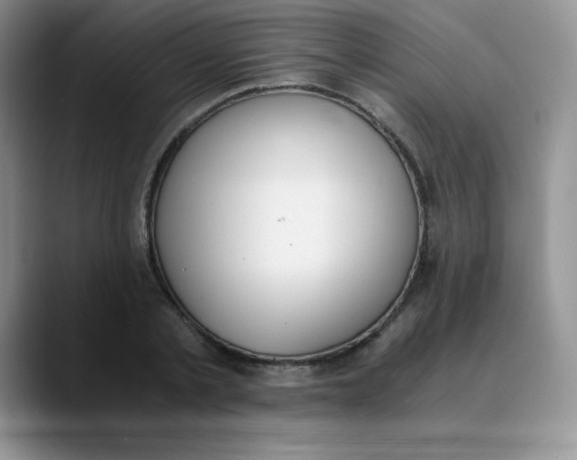 X0000089850789200707191901