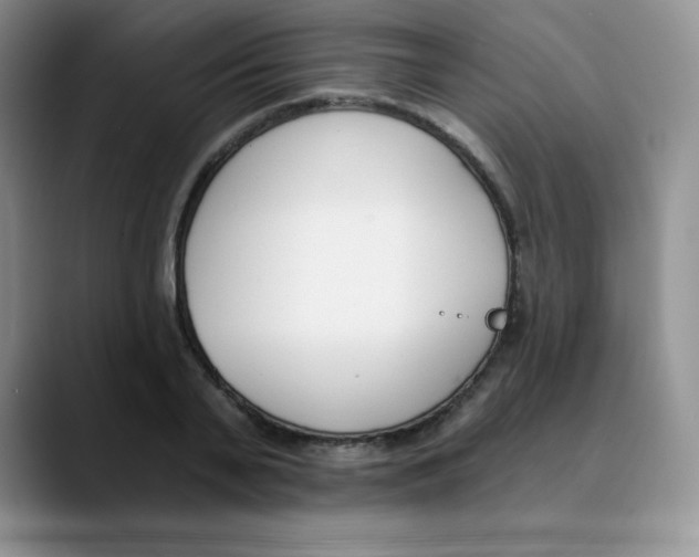 X0000089850791200707191901