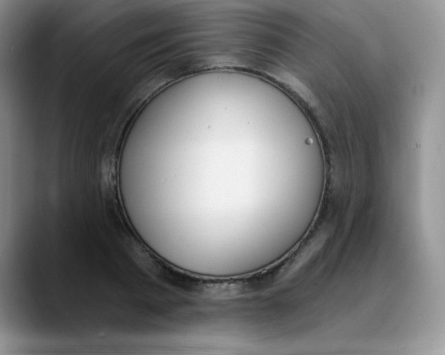 X0000089850793200707191901