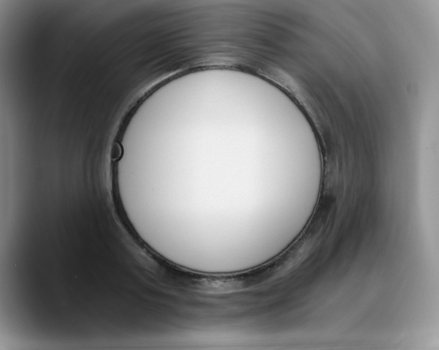 X0000089850795200707191901