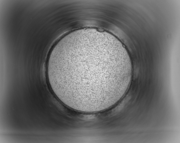 X0000089850798200707191901