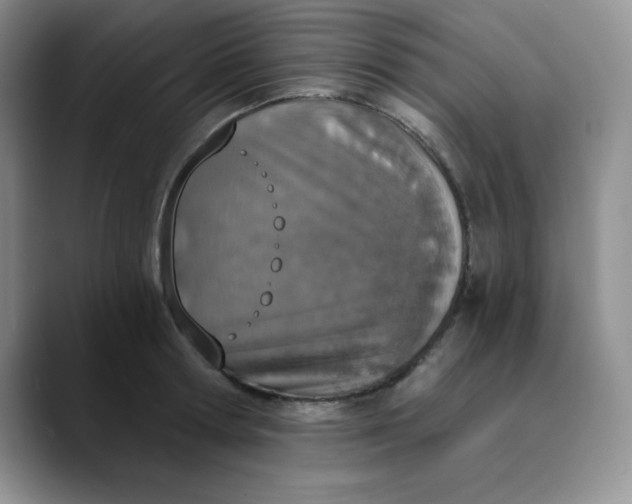 X0000089850802200707191901