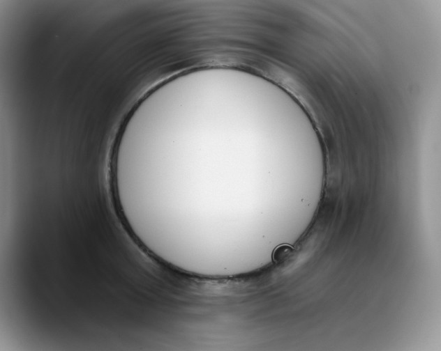 X0000089850803200707191901