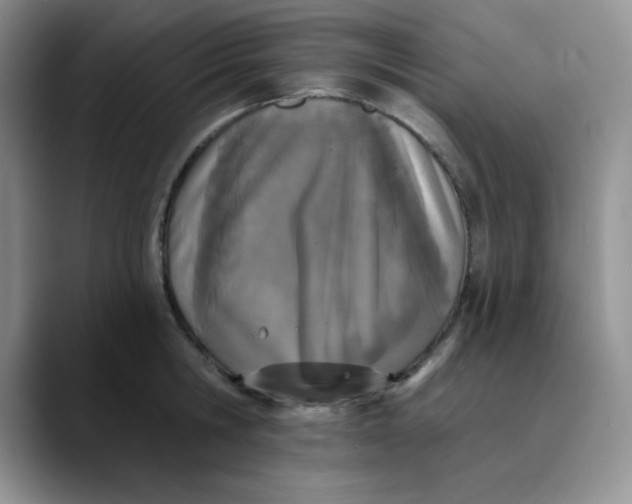 X0000089850806200707191901