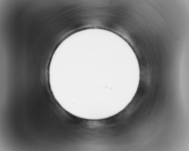 X0000089850807200707191901