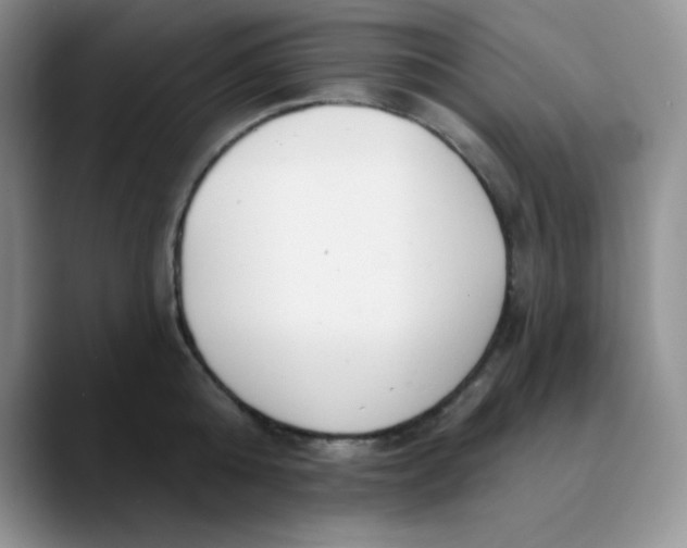 X0000089850808200707191901