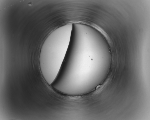 X0000089850809200707191901