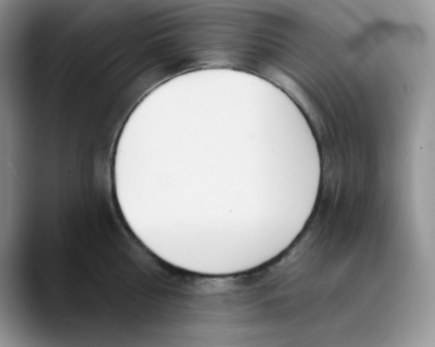 X0000089850810200707191901