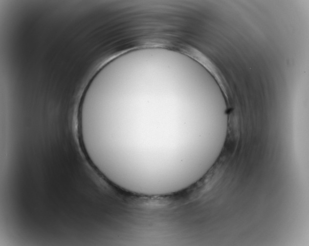 X0000089850811200707191901