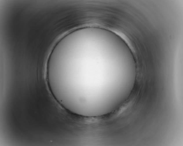 X0000089850815200707191901