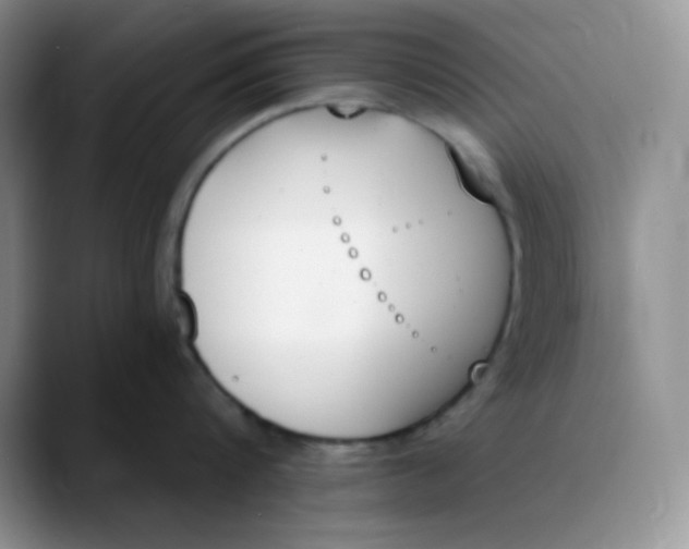 X0000089850816200707191901