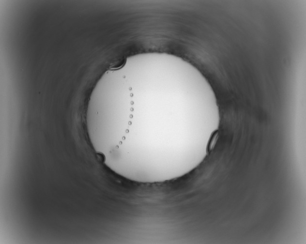 X0000089850817200707191900