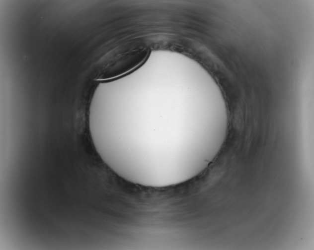 X0000089850821200707191900