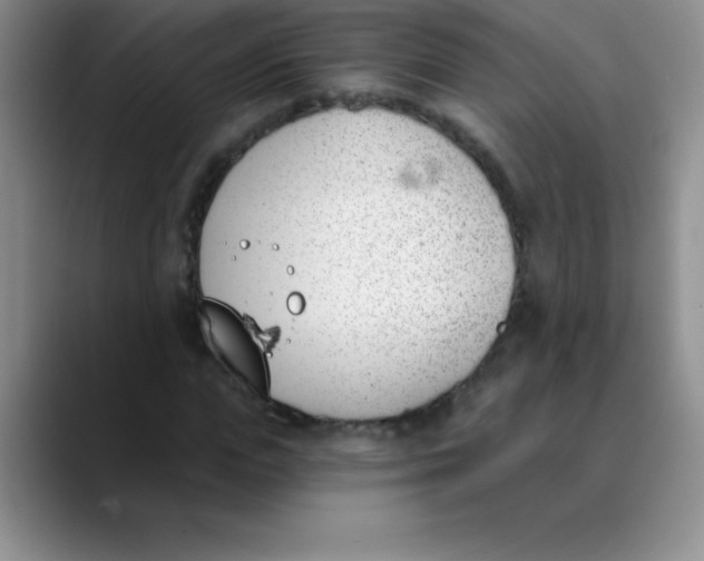 X0000089850823200707191900