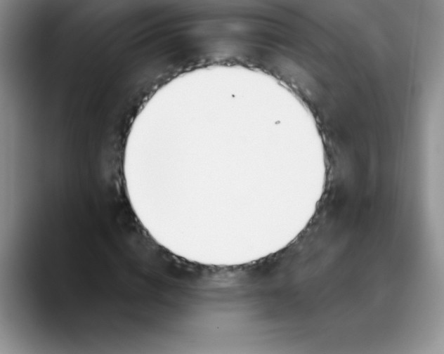 X0000089850824200707191900