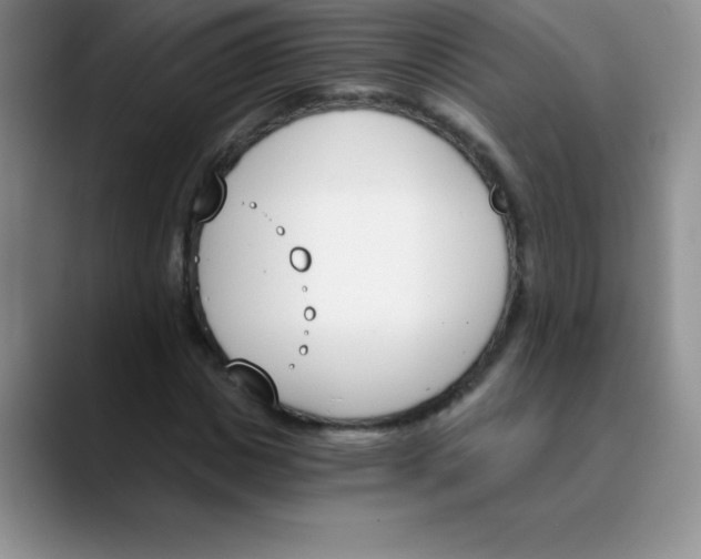 X0000089850825200707191900