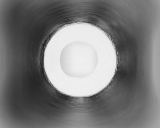 X0000089850828200707191901