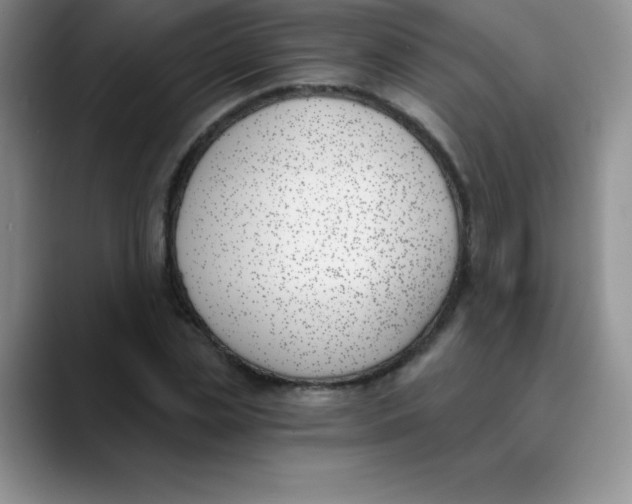 X0000089850829200707191901