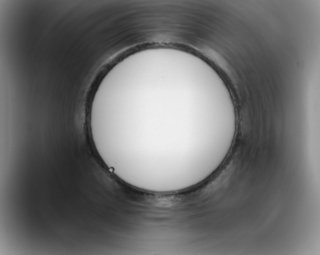 X0000089850831200707191901