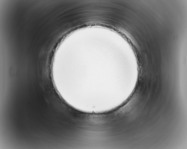 X0000089850832200707191901