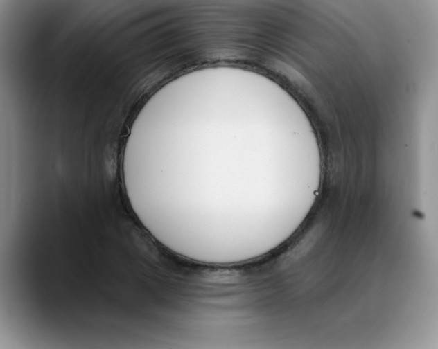 X0000089850833200707191901