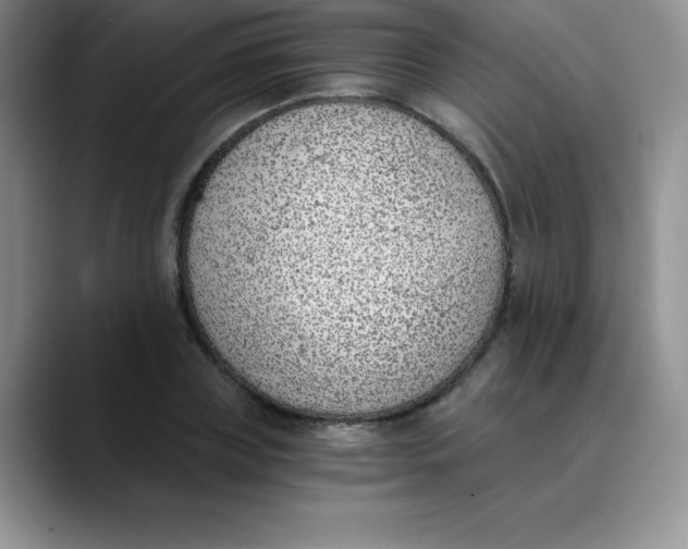 X0000089850835200707191901