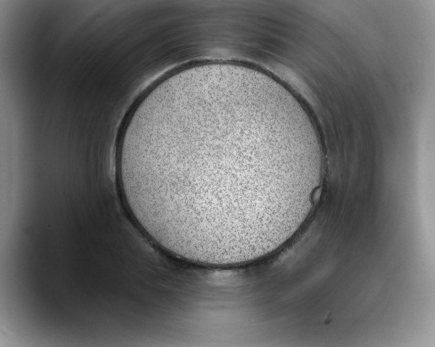 X0000089850839200707191901