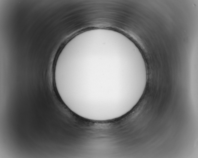 X0000089850840200707191901