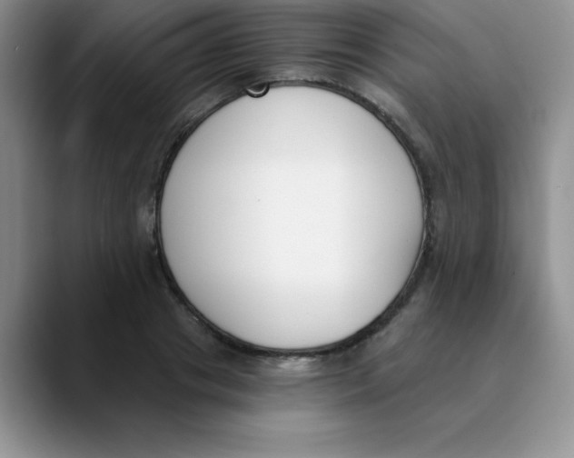 X0000089850841200707191901