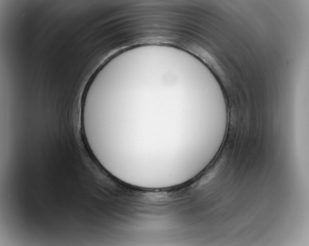 X0000089850844200707191901