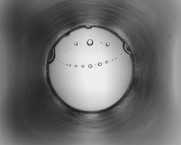 X0000089850845200707191901