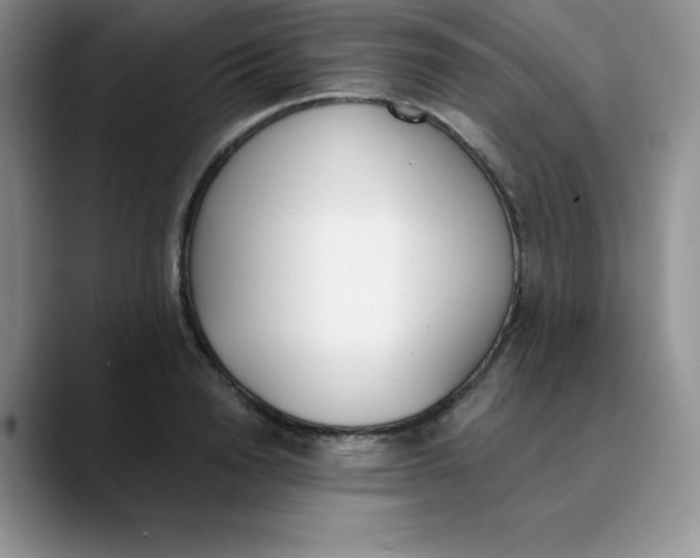 X0000089850846200707191901