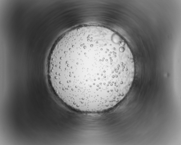 X0000089850848200707191901