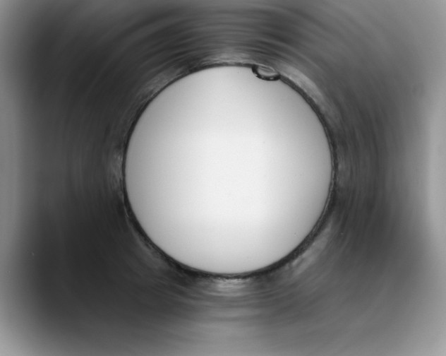 X0000089850849200707191901